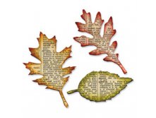    Tattered Leaves, Tim Holtz Alterations_898.jpg