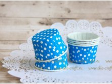     Blue polka dot - mini_32.JPG