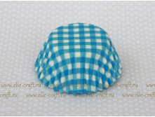      Blue Gingham_32.JPG