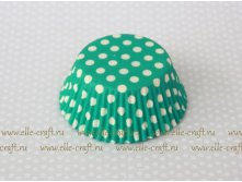      Mint polka dot_33.JPG