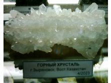 DSCI0038.JPG