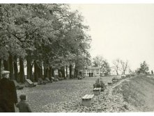  .  1958