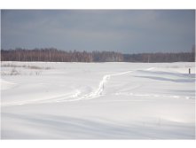 06.03.2010 19:20:21