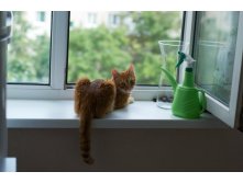DSC_4275.jpg