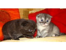 15.03.2010 1:15:00
