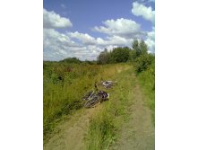 280720126354.jpg