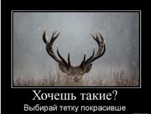 16.03.2010 11:07:43