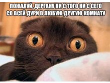 03.04.2013 16:49:02