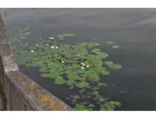 DSC_0219.JPG