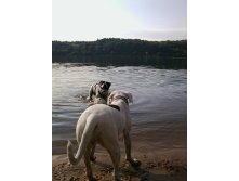 08.12.2012 14:59:15