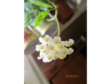 IMG_0404.JPG