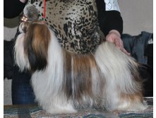 DSC_0445.JPG