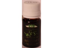   (Peppermint Oil) 10 