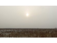 IMG_7225.JPG