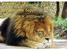 лев.jpg