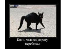 человек дорогу перебежал.jpg