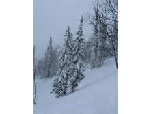11.12.2012 14:44:49