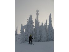 11.12.2012 14:46:23