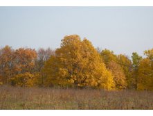 DSC_1391.jpg