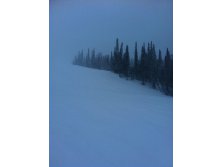 IMG_1100.jpg