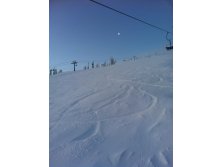 IMG_1101.jpg