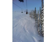 IMG_1102.jpg
