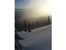 IMG_1115.jpg