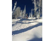 IMG_1116.jpg