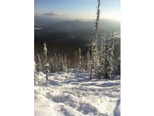 IMG_1120.jpg