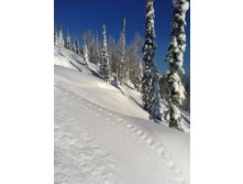 IMG_1121.jpg