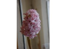 29.03.2010 17:23:06