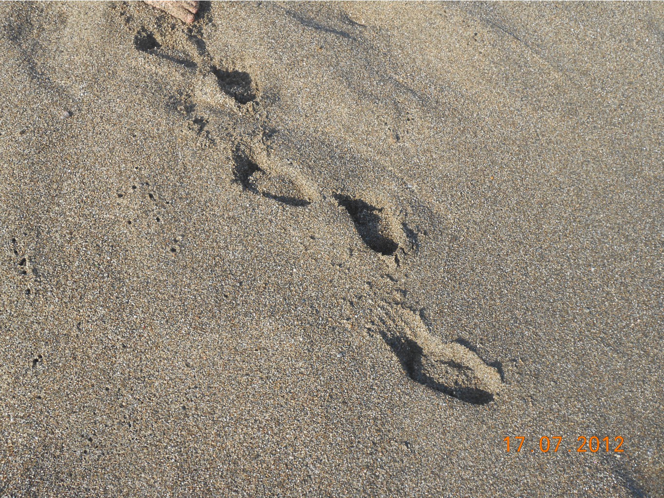 DSCN1047.JPG