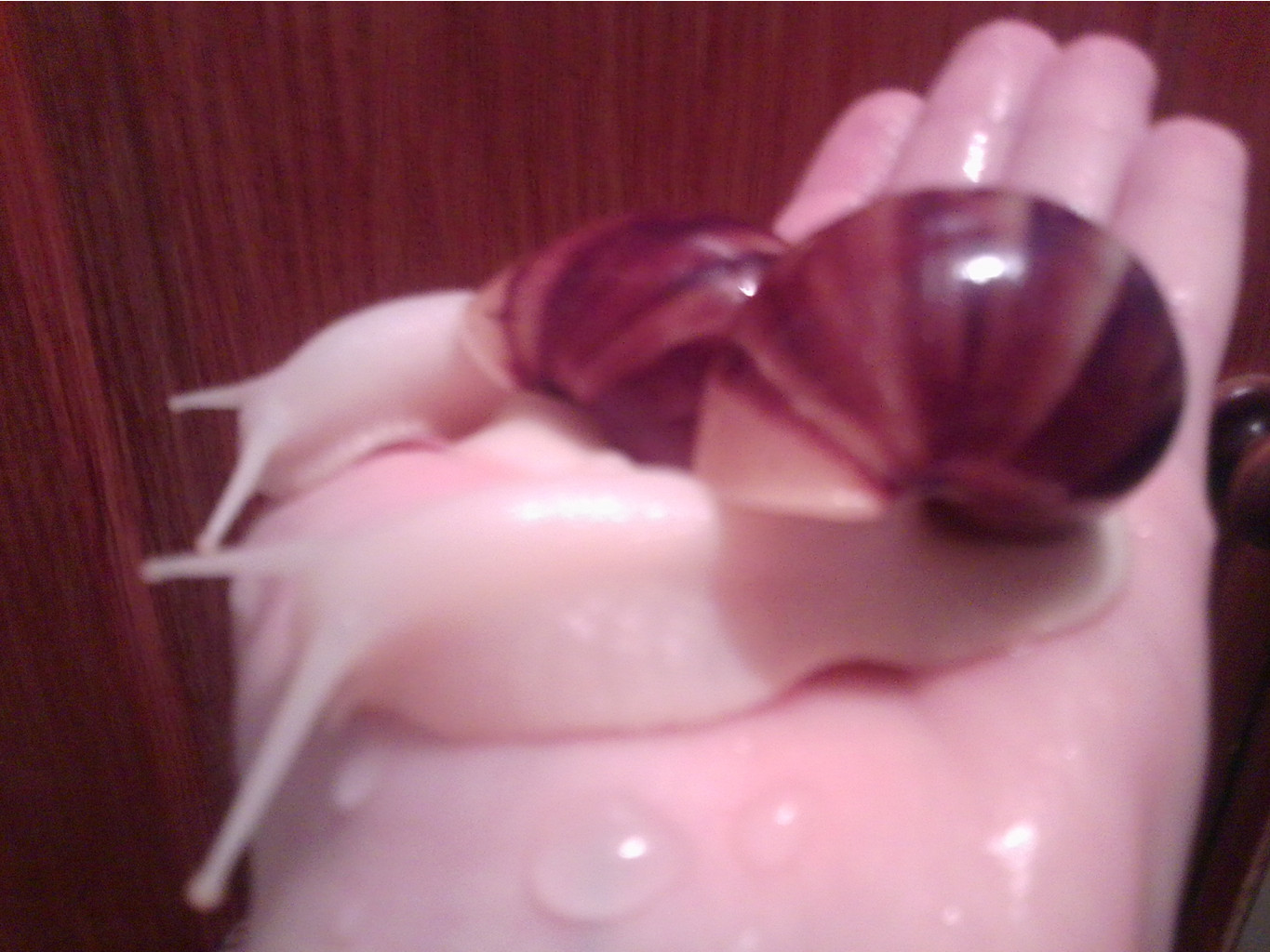 16.12.2012 16:39:35