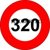 320.jpg