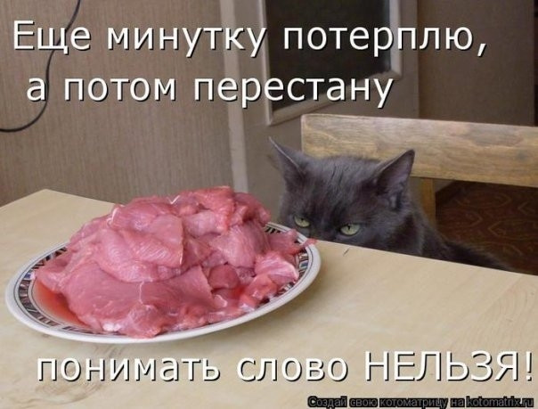 3248848_x_9059db47.jpg
