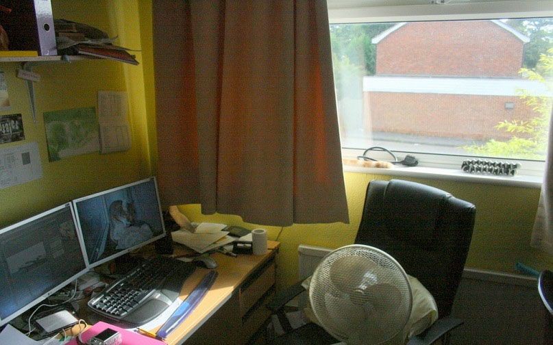 17.jpg