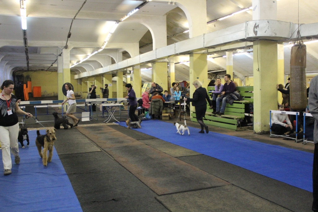 2012_12_16_6046.JPG