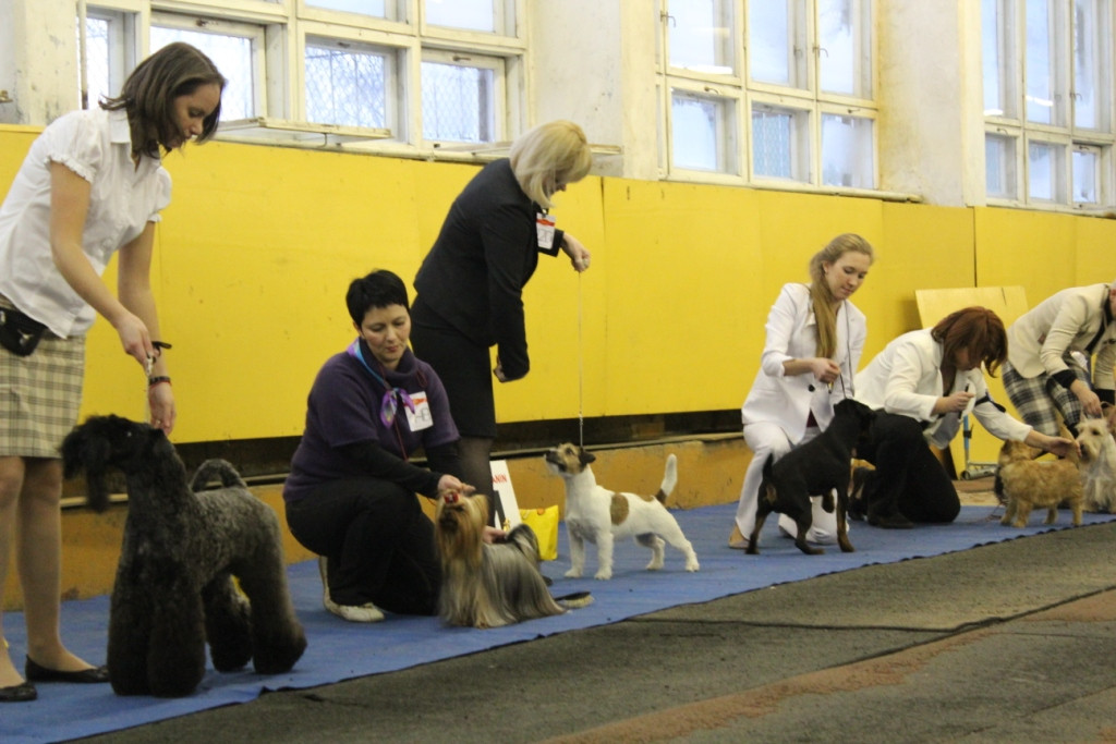 2012_12_16_6052.JPG