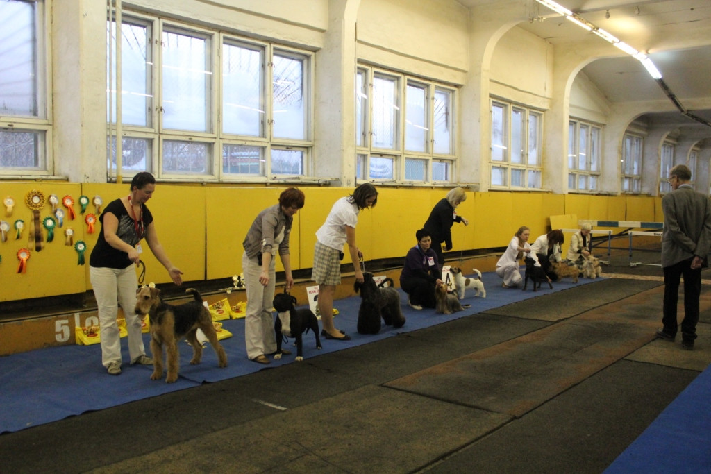 2012_12_16_6054.JPG