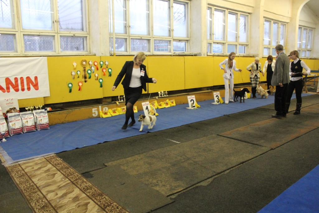 2012_12_16_6060.JPG