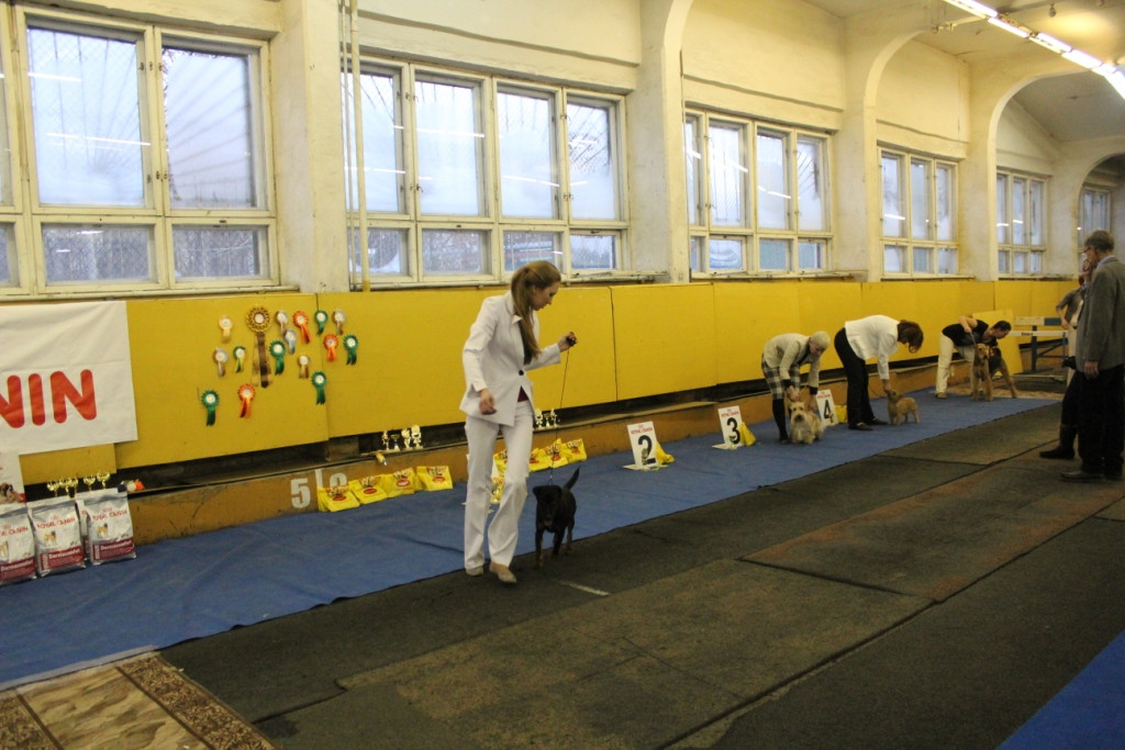 2012_12_16_6065.JPG