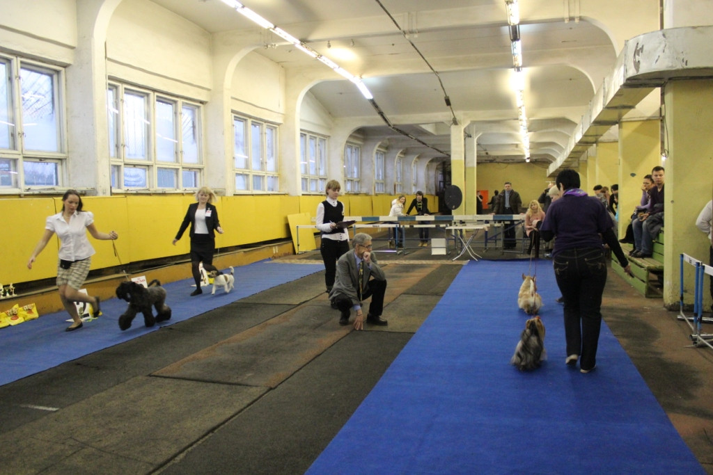 2012_12_16_6115.JPG