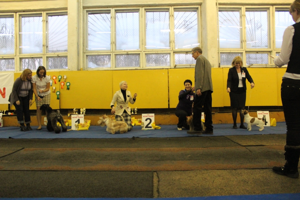 2012_12_16_6116.JPG