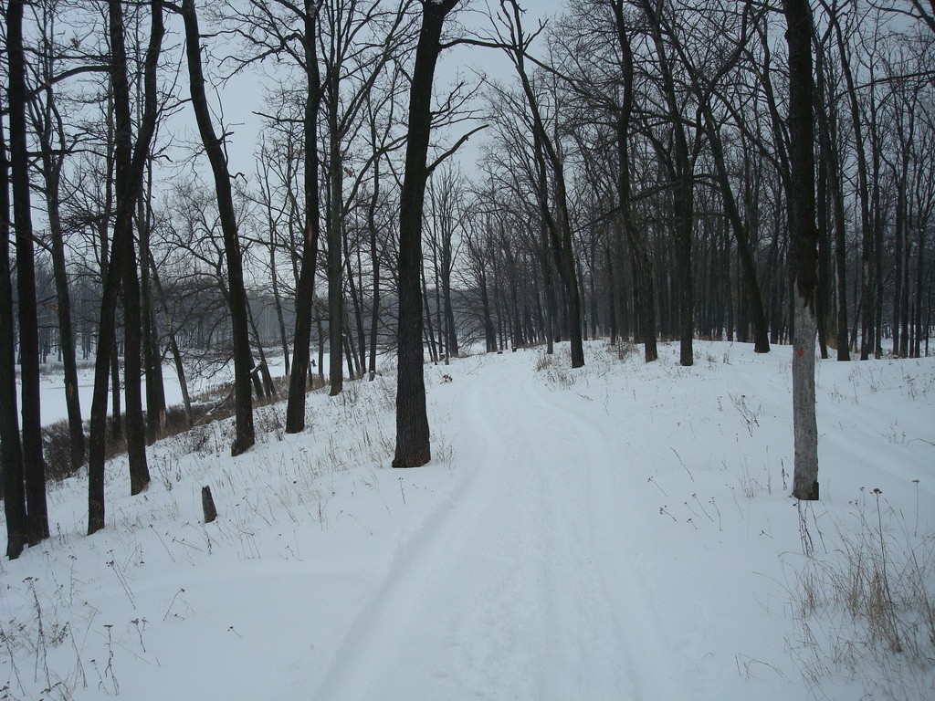 DSC08062.JPG