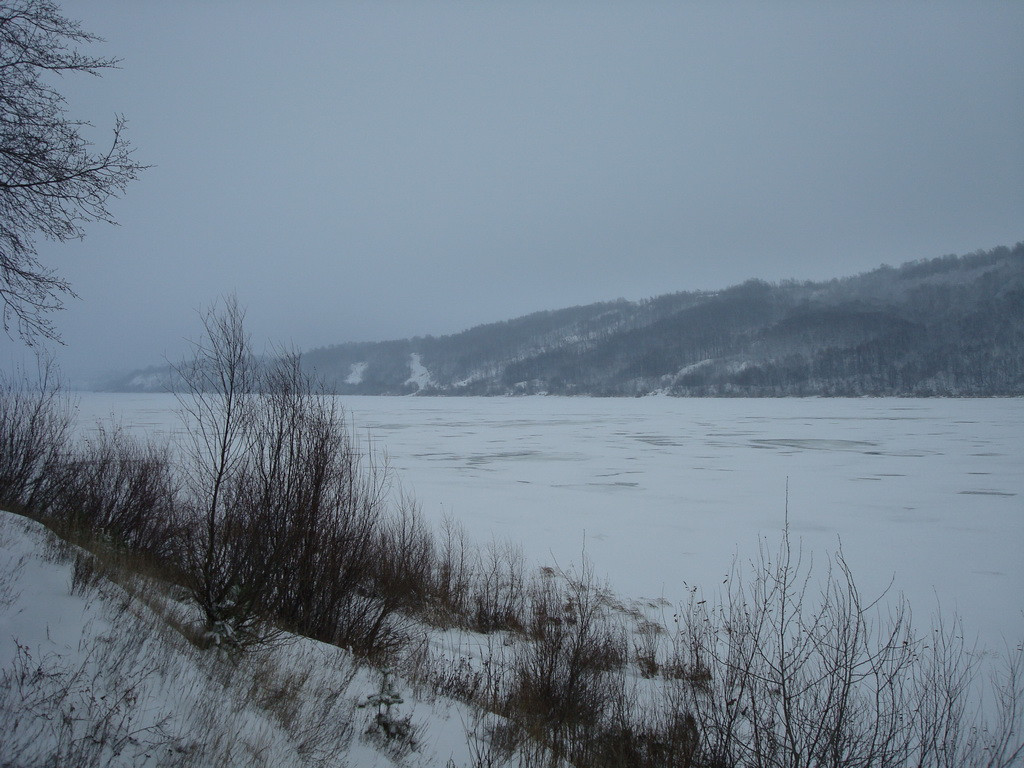DSC08029.JPG