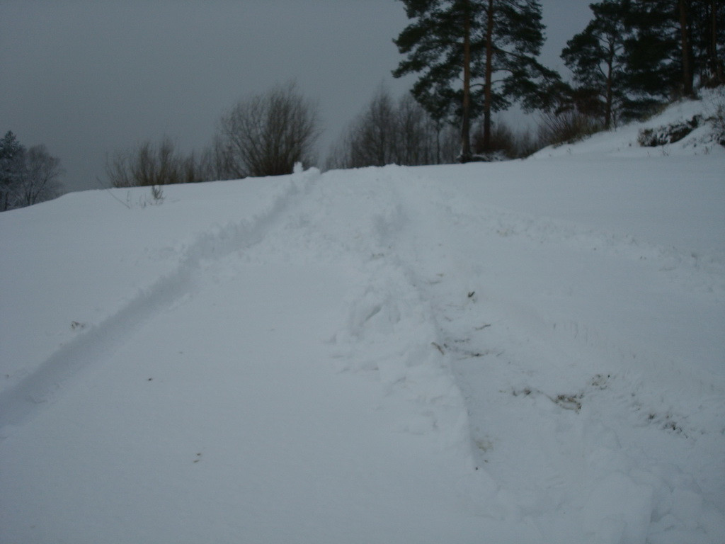 DSC08039.JPG