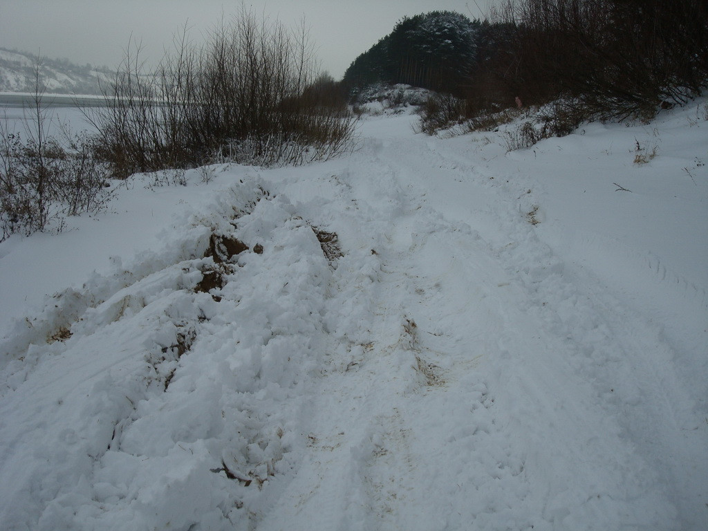 DSC08043.JPG