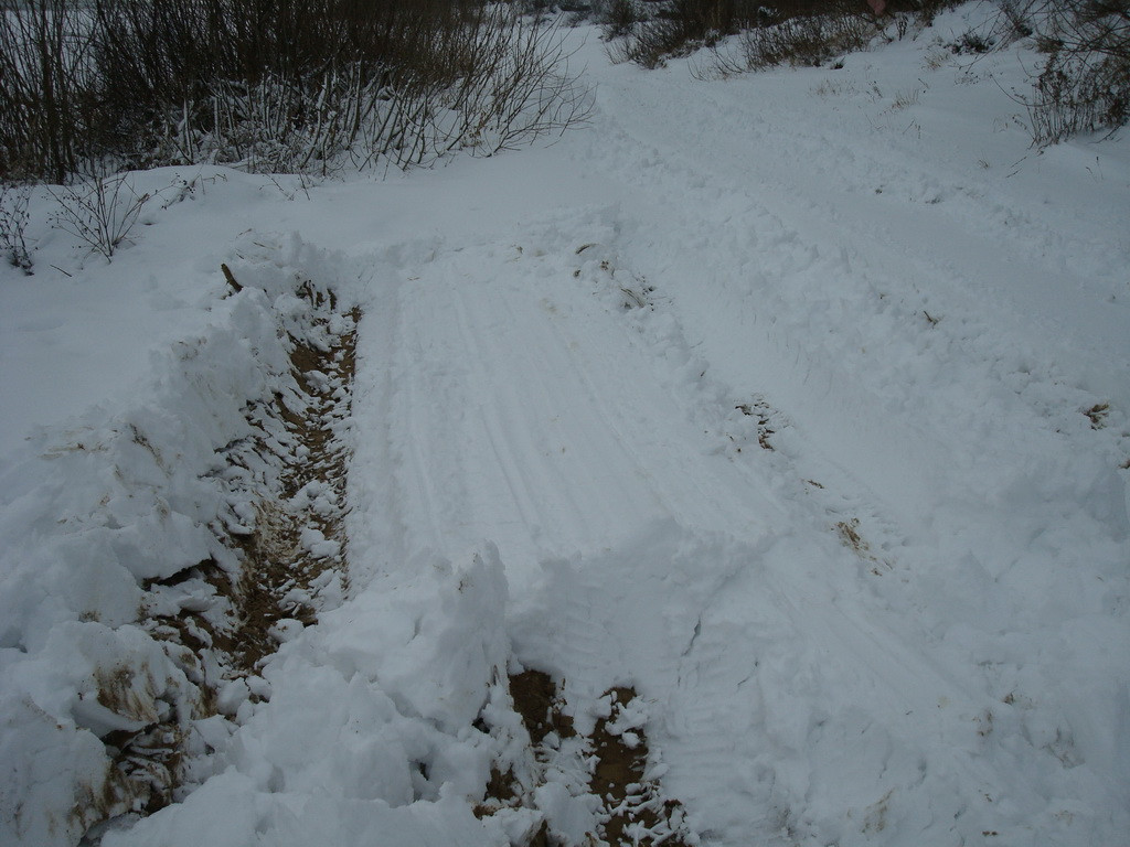 DSC08044.JPG