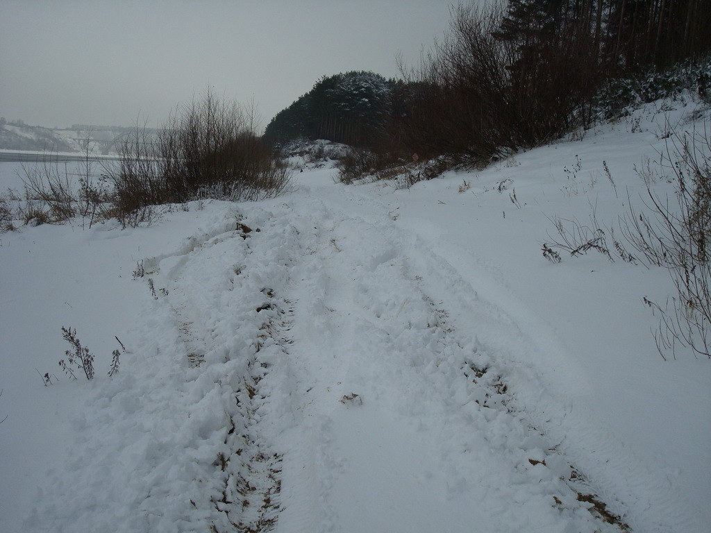 DSC08046.JPG