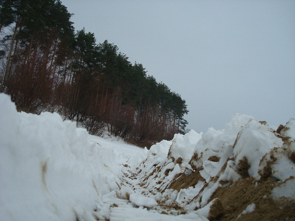 DSC08049.JPG